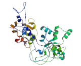 Transmembrane Protein 168 (TMEM168)