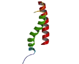 Transmembrane Protein 170A (TMEM170A)