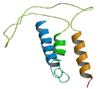Transmembrane Protein 179B (TMEM179B)