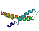 Transmembrane Protein 184C (TMEM184C)