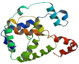 Transmembrane Protein 189 (TMEM189)