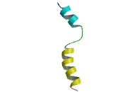 Transmembrane Protein 194 (TMEM194)