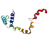 Transmembrane Protein 194B (TMEM194B)
