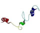 Transmembrane Protein 196 (TMEM196)