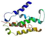 Transmembrane Protein 198 (TMEM198)