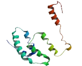 Transmembrane Protein 200A (TMEM200A)
