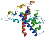 Transmembrane Protein 202 (TMEM202)