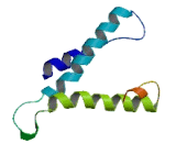 Transmembrane Protein 212 (TMEM212)