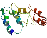 Transmembrane Protein 220 (TMEM220)