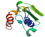 Transmembrane Protein 221 (TMEM221)