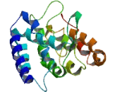 Transmembrane Protein 231 (TMEM231)