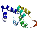 Transmembrane Protein 233 (TMEM233)