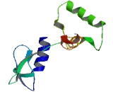Transmembrane Protein 24 (TMEM24)