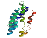 Transmembrane Protein 38A (TMEM38A)