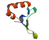 Transmembrane Protein 39A (TMEM39A)