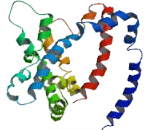 Transmembrane Protein 41A (TMEM41A)
