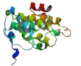 Transmembrane Protein 41B (TMEM41B)