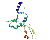 Transmembrane Protein 44 (TMEM44)
