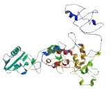 Transmembrane Protein 48 (TMEM48)