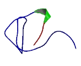Transmembrane Protein 55A (TMEM55A)
