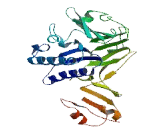 Transmembrane Protein 62 (TMEM62)