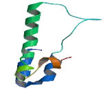 Transmembrane Protein 64 (TMEM64)