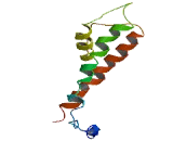 Transmembrane Protein 69 (TMEM69)