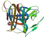 Transmembrane Protein 70 (TMEM70)