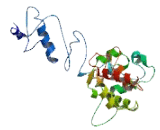 Transmembrane Protein 71 (TMEM71)