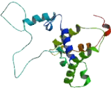 Transmembrane Protein 86B (TMEM86B)