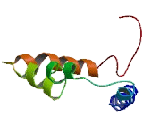 Transmembrane Protein 88 (TMEM88)