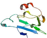 Transmembrane Protein 89 (TMEM89)