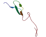 Transmembrane Protein 8A (TMEM8A)