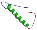 Transmembrane Protein 8C (TMEM8C)