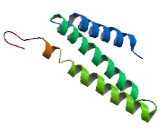 Transmembrane Protein 9 (TMEM9)