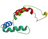 Transmembrane Protein 97 (TMEM97)