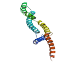 U3 Small Nucleolar Ribonucleoprotein 14, Homolog A (UTP14A)