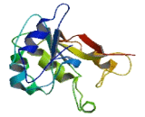 UBX Domain Protein 10 (UBXN10)