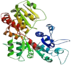 UDP Glucuronosyltransferase 1 Family, Polypeptide A5 (UGT1A5)