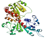 UDP Glucuronosyltransferase 2 Family, Polypeptide A1 (UGT2A1)