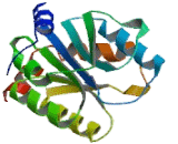 UDP Glucuronosyltransferase 2 Family, Polypeptide B4 (UGT2B4)