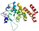 Ubiquitin Conjugating Enzyme E2C Binding Protein (UBE2CBP)