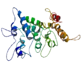Ubiquitin Interaction Motif Containing Protein 1 (UIMC1)