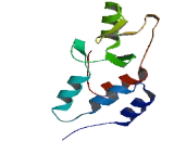 Ubiquitin Like Containing PHD And Ring Finger Domains Protein 2 (UHRF2)