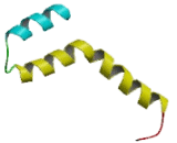 Uncoupling Protein 4, Mitochondrial (UCP4)