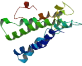 Vacuolar Protein Sorting 8 (VPS8)