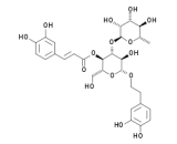 Verbascoside (VB)