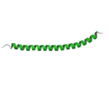 Vesicle Associated Membrane Protein 4 (VAMP4)