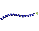 Vesicle Associated Membrane Protein 5 (VAMP5)