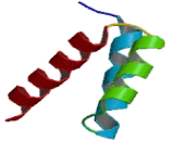 Visual System Homeobox Protein 1 (VSX1)